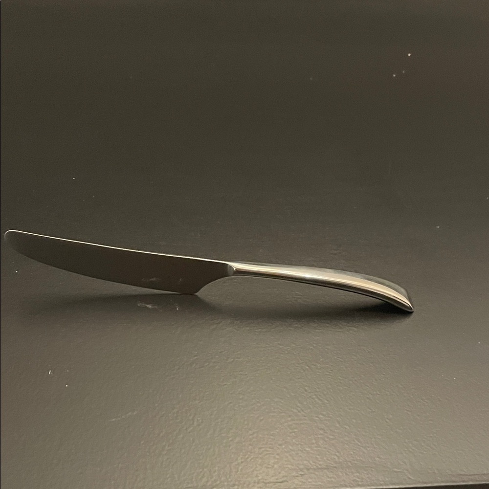Yamazaki Silver Chorus Dinner Knife